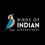 birdsofindiansubcontinent profile picture