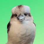 birdsofoz_ profile picture