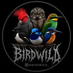 birdwild_ profile picture