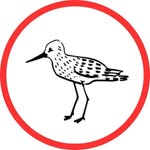birdy.pamjb profile picture