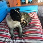 birgit_wasser profile picture