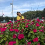 birgul236207 profile picture