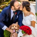 biscottiandmarissa profile picture
