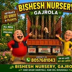 bishesh_nursary profile picture