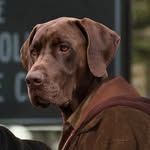 bishoptatethegreat profile picture