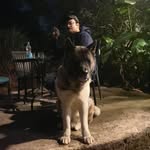 bishwadeepchatterjee profile picture