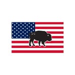 bisonunion profile picture