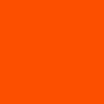 bitton profile picture