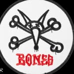 bivouaac profile picture