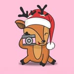 bixaanalogica profile picture