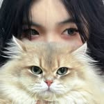biyuurr profile picture