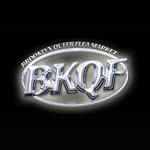 bkqueerflea profile picture