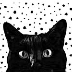 black.cat.mafia profile picture