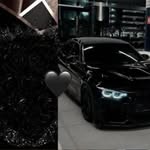 black177131_wolf profile picture