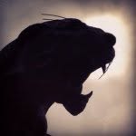 blackandbluereview profile picture