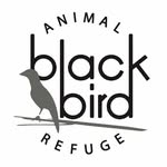 blackbird_animal_refuge profile picture