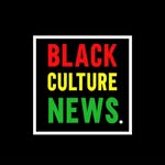 blackculturenews_ profile picture