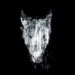 blackdogfilms profile picture