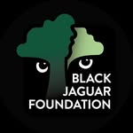 blackjaguarfoundation profile picture