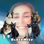 blackmisy_cats profile picture