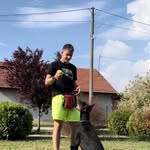 black_panter_of_serbia profile picture