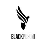 blackpigeonstudios profile picture