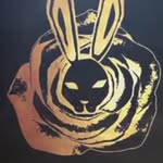 blackrabbitrose profile picture