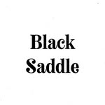 blacksaddletravel profile picture