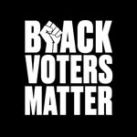 blackvotersmtr profile picture