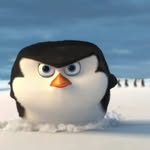 bladimir_barzola profile picture