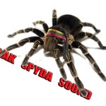 blakspydarecords profile picture