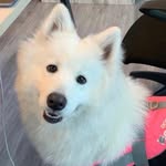 blancagotinsta profile picture