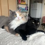 blarn_and_edna profile picture
