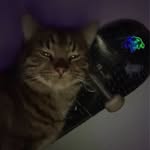 blauerball21 profile picture