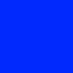 bleachclub_ profile picture