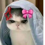 bleuberry371 profile picture