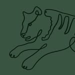 blindtigerburlington profile picture