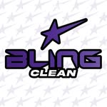 blinggclean profile picture