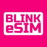blinkesim profile picture