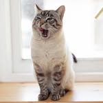 blinky_minky profile picture