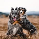 blissfullywild_ profile picture