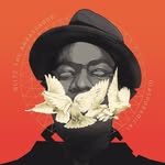 blitzambassador profile picture