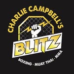 blitzstriking profile picture
