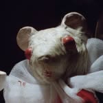 bloodteaandredstring profile picture