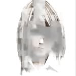 bloomsickles profile picture
