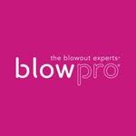 blowprohair profile picture
