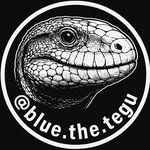 blue.the.tegu profile picture