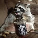 bluedrangon92 profile picture