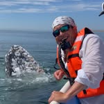 bluelifewild profile picture