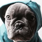 bluenjy profile picture